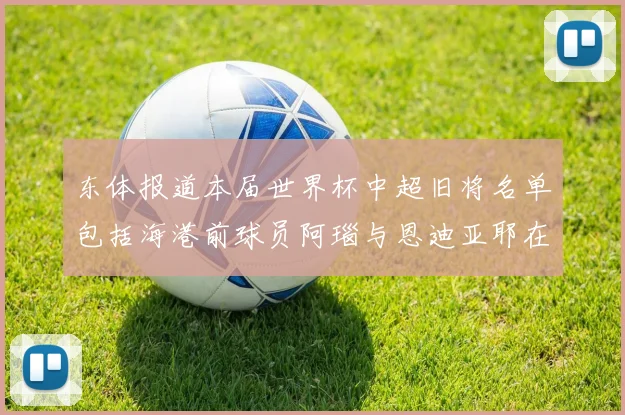 东体报道本届世界杯中超旧将名单包括海港前球员阿瑙与恩迪亚耶在内的10位球员